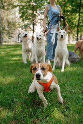 Similar image 22245485