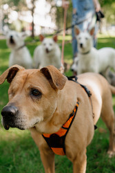 Similar image 22245486