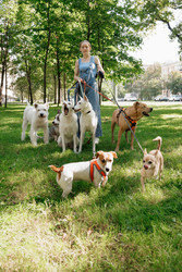 Similar image 22245557