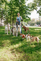 Similar image 22245558