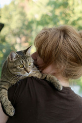 Similar image 22258052