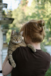 Similar image 22258053