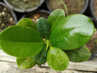 Similar image 22257922