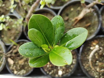 Similar image 22257923