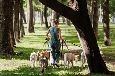 Similar image 22245571