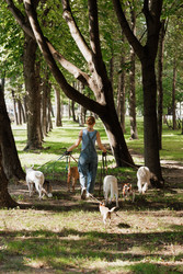 Similar image 22245572