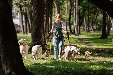 Similar image 22245574