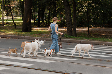 Similar image 22245575