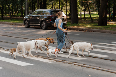 Similar image 22245579