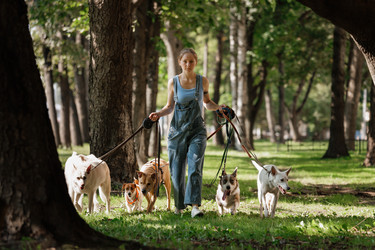 Similar image 22245582