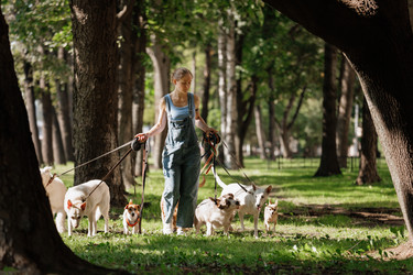 Similar image 22245586