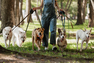 Similar image 22245590