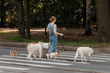 Similar image 22245591