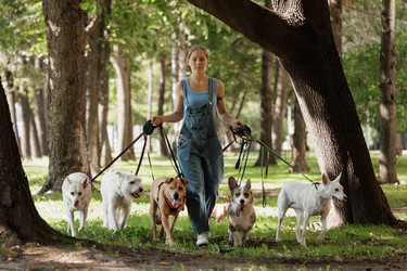 Similar image 22245594