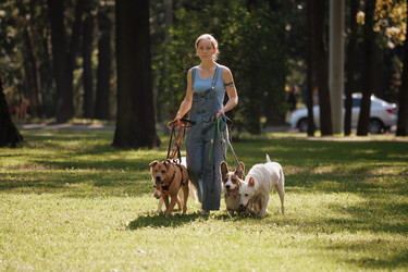 Similar image 22245595