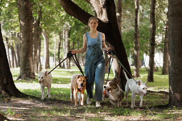 Similar image 22245602