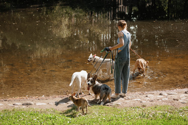 Similar image 22245489