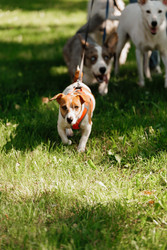 Similar image 22245490