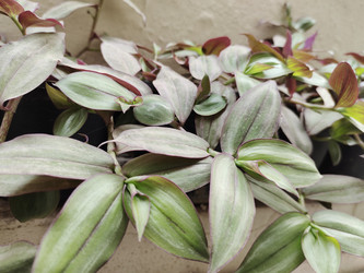 Similar image 22236144