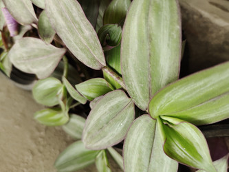 Similar image 22236145