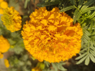 Similar image 22236146