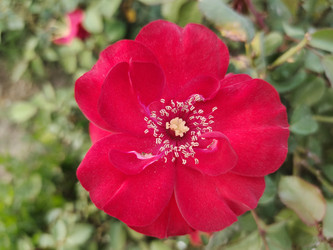 Similar image 22236147