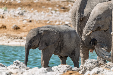 Similar image 22237143