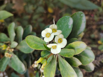 Similar image 22257926