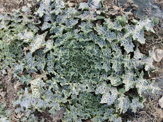 Similar image 22236148