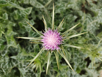 Similar image 22236149