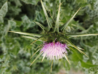 Similar image 22236150