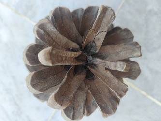 Similar image 22236259