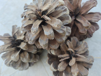 Similar image 22236260