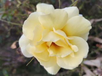 Similar image 22236261