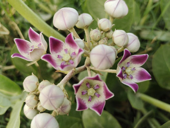 Similar image 22257928