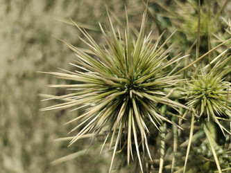 Similar image 22236152