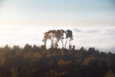 Similar image 22237145