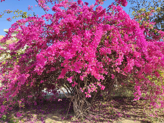 Similar image 22236153