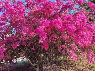 Similar image 22236154