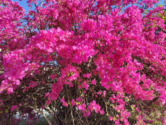 Similar image 22236155