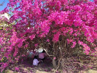 Similar image 22236156