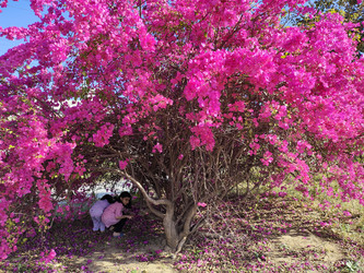 Similar image 22236157