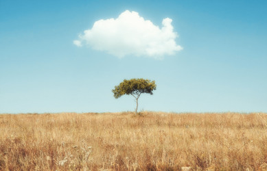 Similar image 22237147