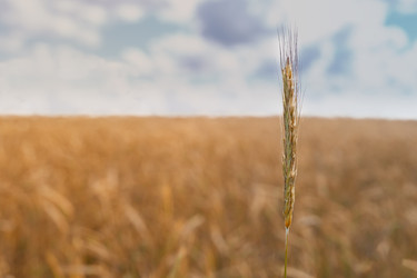 Similar image 22245060