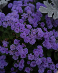 Similar image 22235216