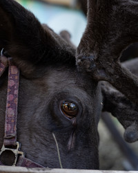 Similar image 22235217