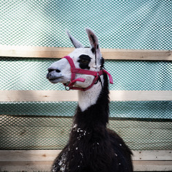 Similar image 22235218