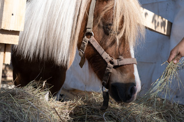 Similar image 22235219