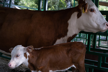 Similar image 22235220