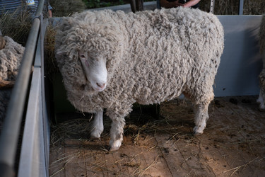 Similar image 22235652